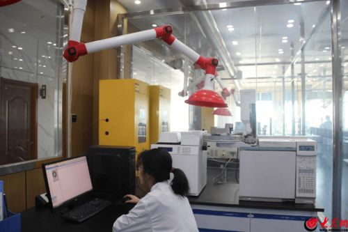 走进南极维康透明工厂 高拍仪下的健康食品生产之旅